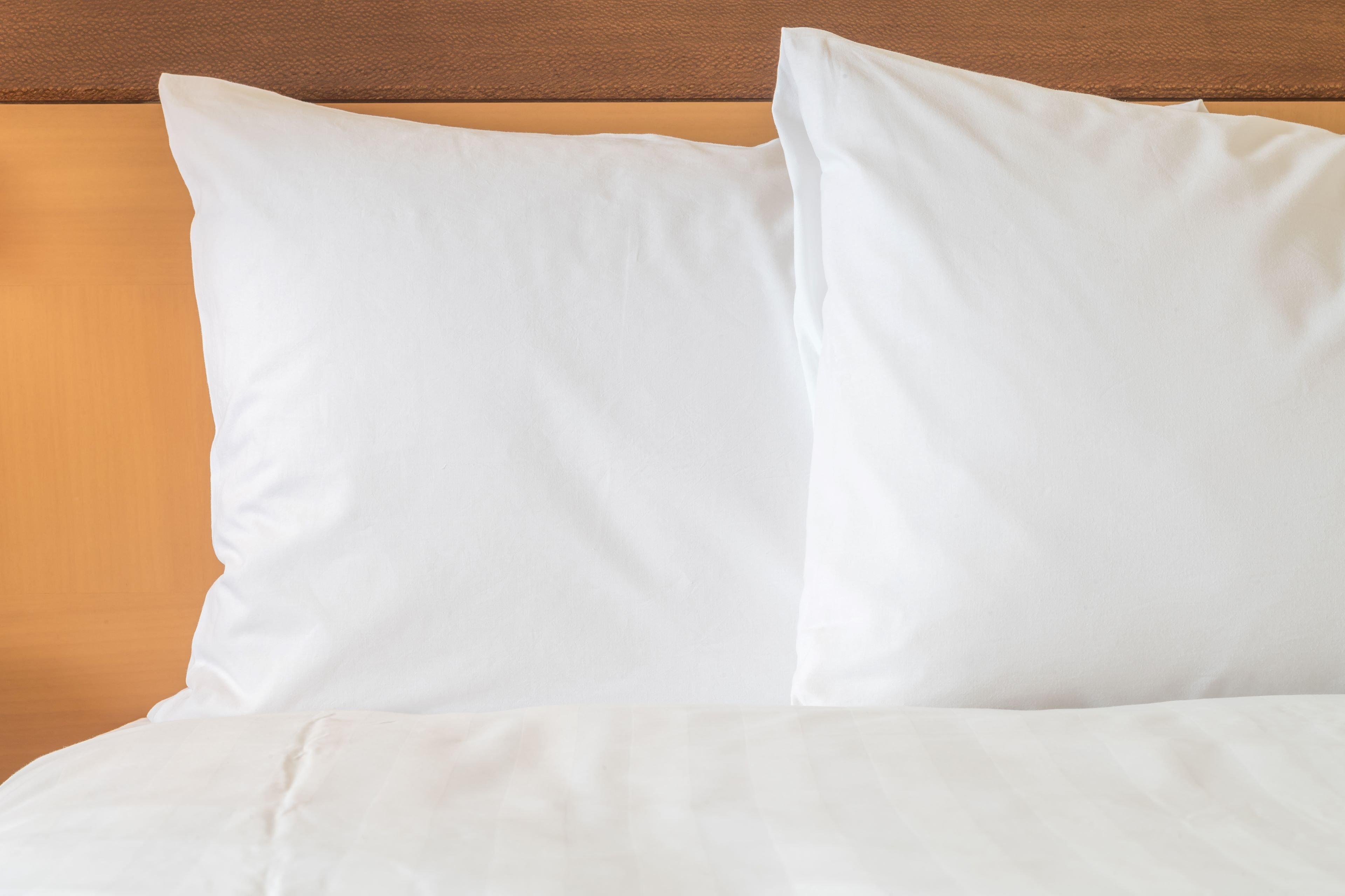 Holiday Inn Express Hotel & Suites Ashland By Ihg Экстерьер фото